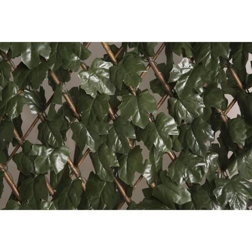 CATRAL - Treillis extensible avec feuilles basic - 1x2m - Photo n°3; ?>