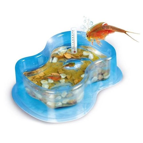 CLEMENTONI Science & Jeu - Mes premiers Triops - Jeu scientifique - Photo n°2; ?>