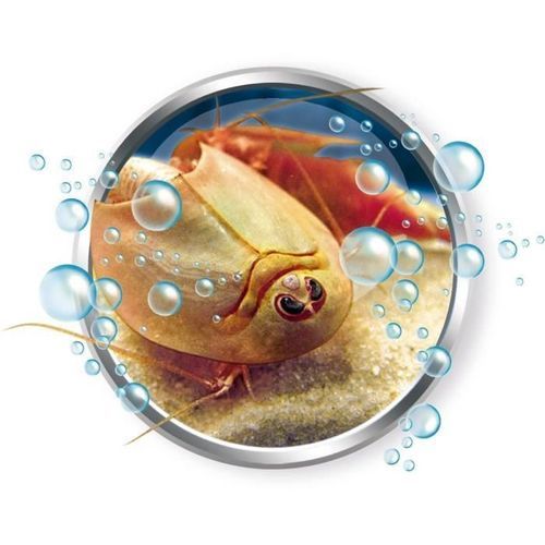 CLEMENTONI Science & Jeu - Mes premiers Triops - Jeu scientifique - Photo n°3; ?>