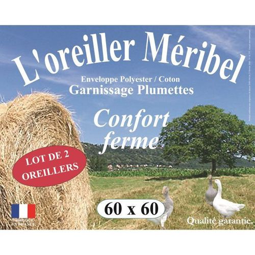 DODO Lot de 2 Oreillers MERIBEL Plumettes 60x60cm - Photo n°2; ?>