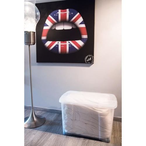 EDA PLASTIQUE Boîte de rangement Clip'Box 60 L - Naturel couvercle avec charniere - 60 x 40 x 40 cm - Photo n°2; ?>