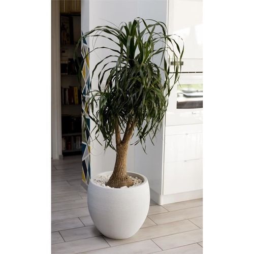 EDA Pot rond Graphit Ø50cm - Contenance 46L - Blanc cérusé - Photo n°2; ?>