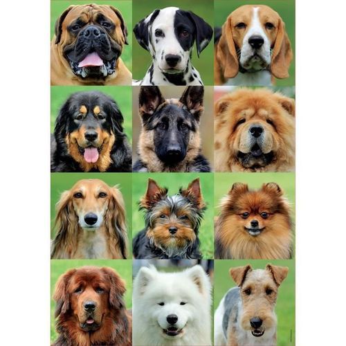 EDUCA 500 collage chiens - Photo n°2; ?>
