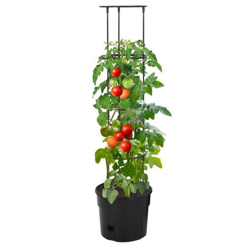 Jardinière à tomate Anthracite Ø29,5x115 cm Polypropylène - Photo n°2; ?>