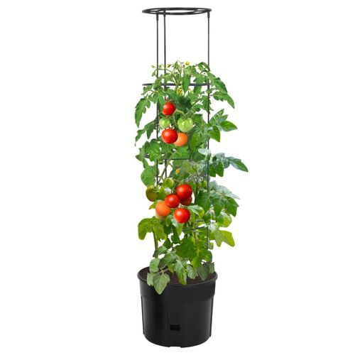 Jardinière à tomate Anthracite Ø39x150 cm Polypropylène - Photo n°2; ?>