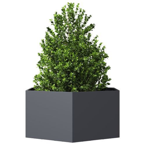 Jardinière anthracite hexagone 104x90x45 cm acier - Photo n°3; ?>