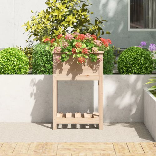 Jardinière avec étagère 54x34,5x81 cm Bois massif de pin - Photo n°3; ?>