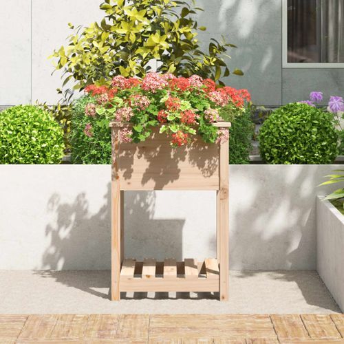 Jardinière avec étagère 54x54x81 cm Bois massif de pin - Photo n°3; ?>