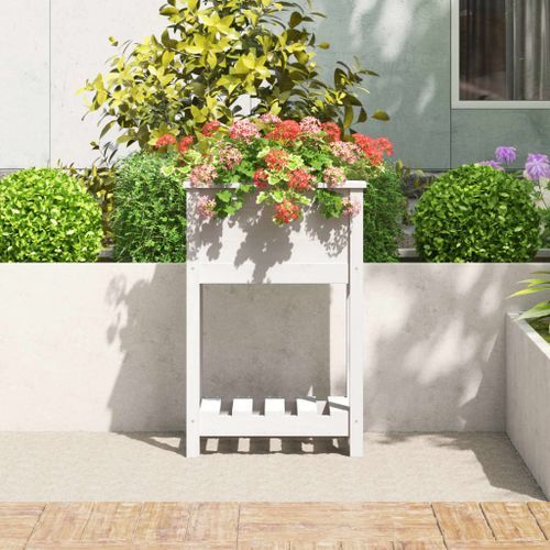 Jardinière avec étagère Blanc 54x34,5x81 cm Bois massif de pin - Photo n°3; ?>