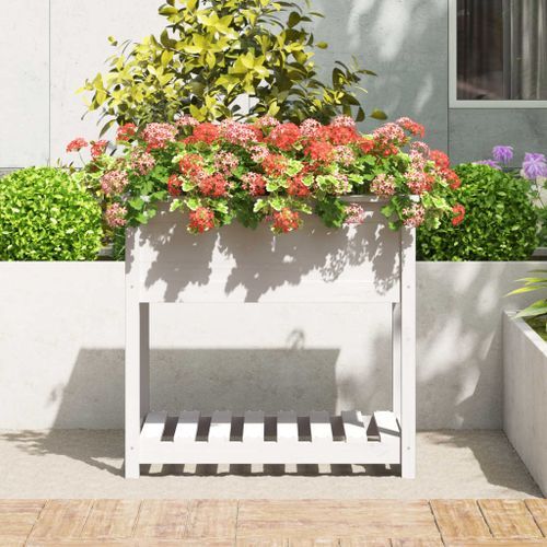 Jardinière avec étagère Blanc 82,5x54x81 cm Bois massif de pin - Photo n°3; ?>