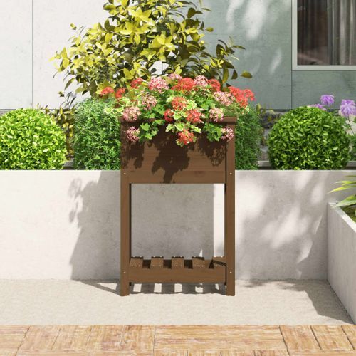 Jardinière avec étagère Marron miel 54x34,5x81 cm Bois de pin - Photo n°3; ?>