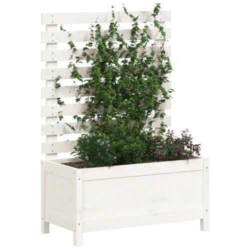 Jardinière avec support blanc 79x39,5x114 cm bois de pin massif - Photo n°3; ?>