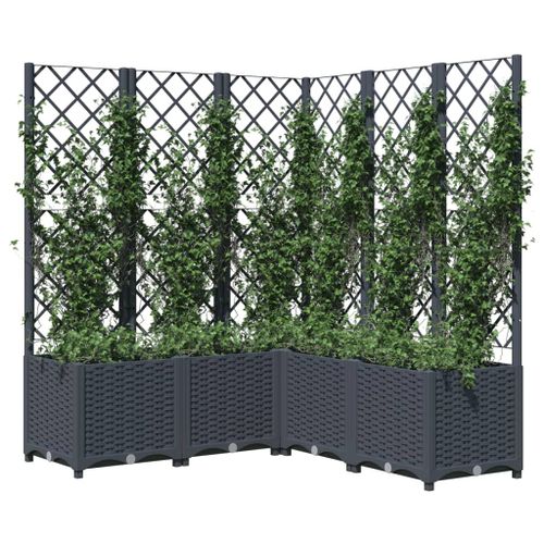 Jardinière Avec Treillis Gris Foncé 120x120x136 Cm PP 19 Jardinière avec treillis Gris foncé 120x120x136 cm PP - Photo n°3; ?>