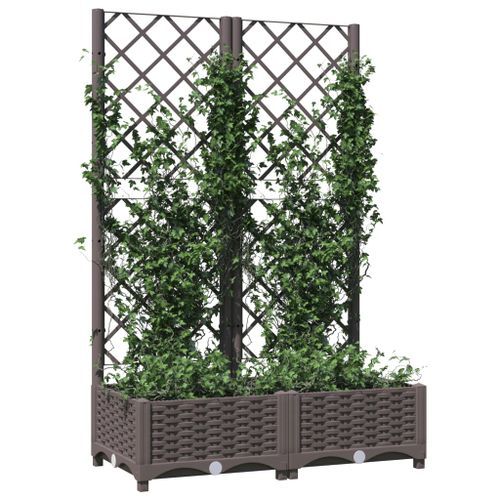 Jardinière avec treillis Marron 80x40x121,5 cm PP - Photo n°3; ?>