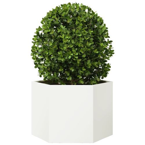 Jardinière blanc hexagone 69x60x45 cm acier - Photo n°3; ?>