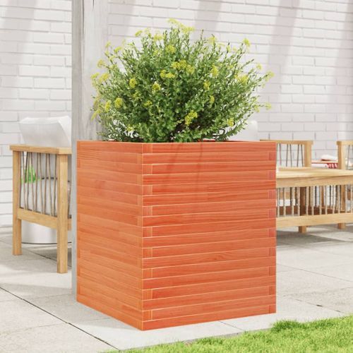 Jardinière cire marron 60x60x68,5 cm bois de pin massif - Photo n°3; ?>