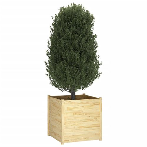 Jardinière d'extérieur 70x70x70 cm Bois de pin massif 2 - Photo n°3; ?>
