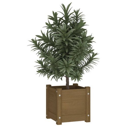 Jardinière extérieur Marron miel 31x31x31 cm Bois de pin massif - Photo n°2; ?>