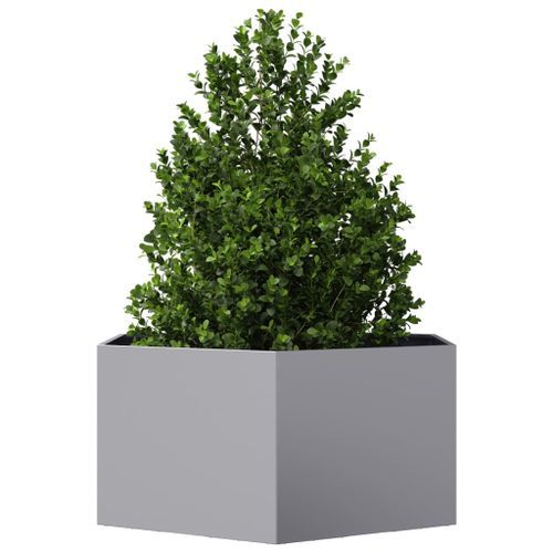 Jardinière hexagone 104x90x45 cm acier galvanisé - Photo n°3; ?>