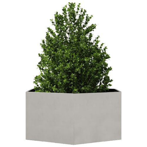 Jardinière hexagone 104x90x45 cm acier inoxydable - Photo n°3; ?>