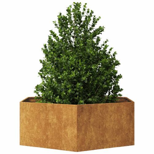 Jardinière hexagone 138x120x45 cm acier corten - Photo n°3; ?>