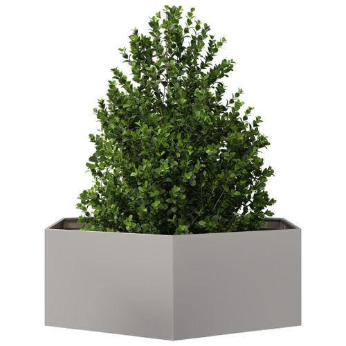 Jardinière hexagone 138x120x45 cm acier inoxydable - Photo n°3; ?>