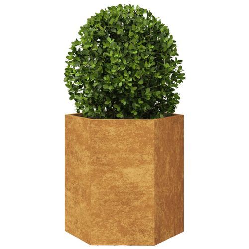 Jardinière hexagone 46x40x45 cm acier corten - Photo n°3; ?>