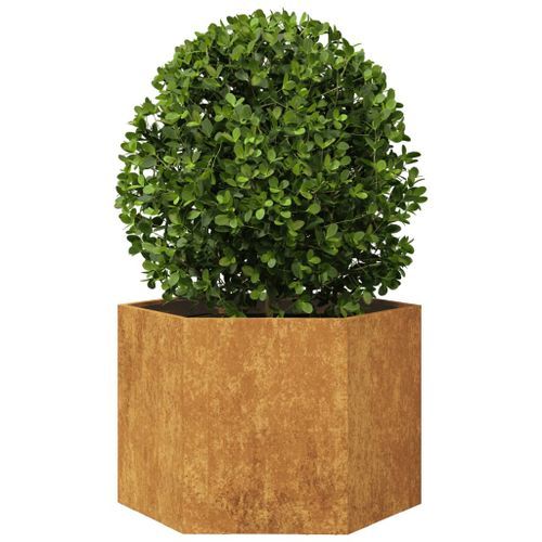 Jardinière hexagone 69x60x45 cm acier corten - Photo n°3; ?>