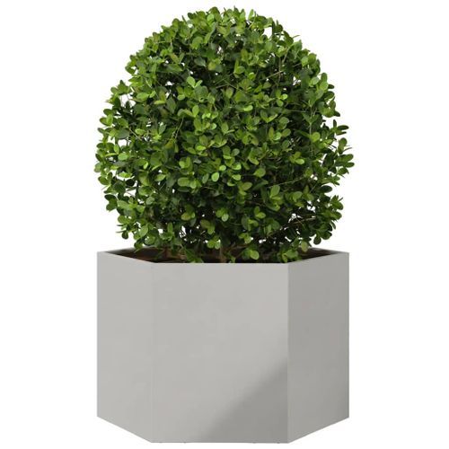 Jardinière hexagone 69x60x45 cm acier inoxydable - Photo n°3; ?>