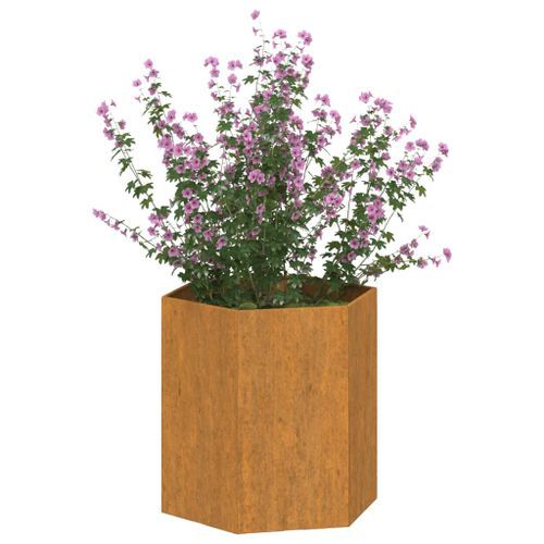 Jardinière Rouillé 40x40x45 cm Acier corten - Photo n°3; ?>