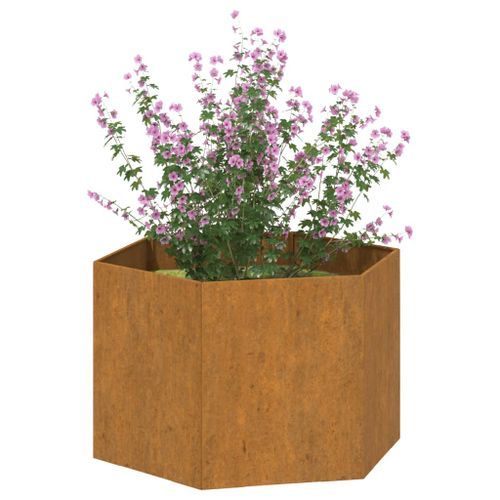 Jardinière Rouillé 60x60x45 cm Acier corten - Photo n°3; ?>