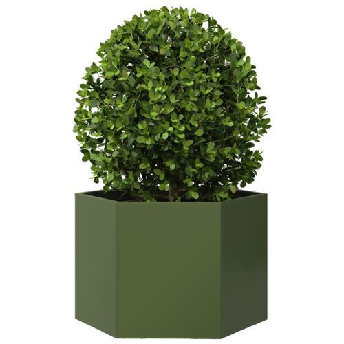 Jardinière vert olive hexagone 69x60x45 cm acier - Photo n°3; ?>