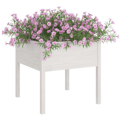 Jardinières 2 pcs Blanc 70x70x70 cm Bois de pin massif - Photo n°3; ?>