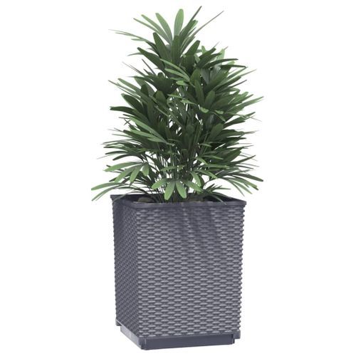 Jardinières 2 pcs gris foncé 30x30x37 cm polypropylène - Photo n°3; ?>