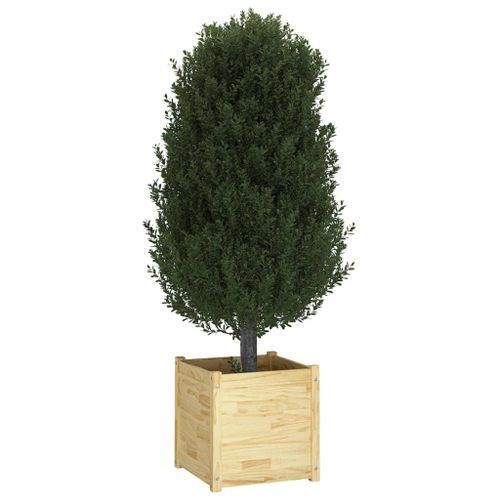Jardinières d'extérieur 2 pcs 50x50x50 cm Bois de pin massif - Photo n°3; ?>