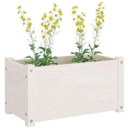 Jardinières d'extérieur 2 pcs Blanc 60x31x31 cm Bois de pin - Photo n°3; ?>