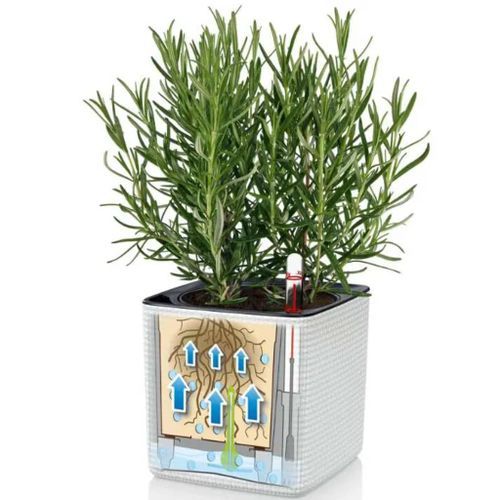 LECHUZA 3 pcs Jardinières Green Wall Home Kit Blanc - Photo n°2; ?>