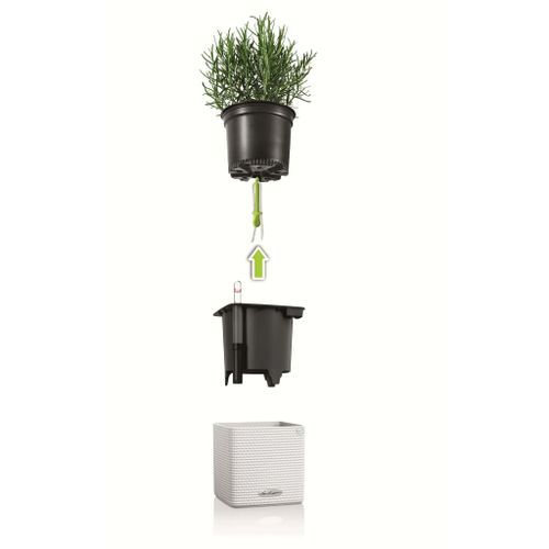 LECHUZA 3 pcs Jardinières Green Wall Home Kit Blanc - Photo n°3; ?>