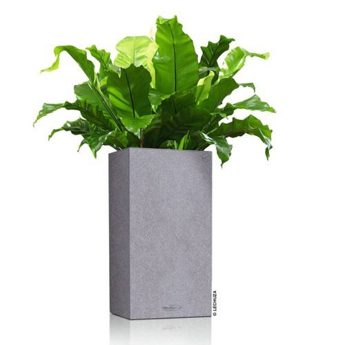 LECHUZA Jardinière CANTO Stone 30 High ALL-IN-ONE Gris pierre - Photo n°3; ?>