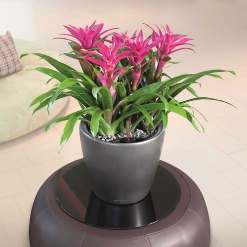 LECHUZA Jardinière CLASSICO LS 28 ALL-IN-ONE charbon métallisé 16043 - Photo n°3; ?>