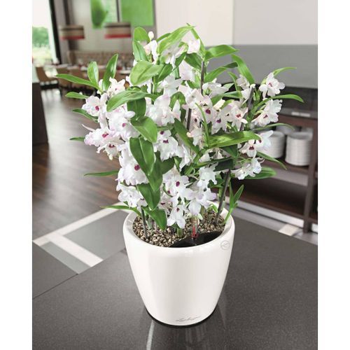 LECHUZA Jardinière CLASSICO LS 35 ALL-IN-ONE blanc brillant 16060 - Photo n°3; ?>