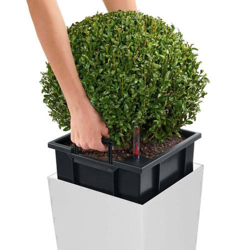 LECHUZA Jardinière Cubico 30 ALL-IN-ONE Blanc haute brillance 18181 - Photo n°3; ?>