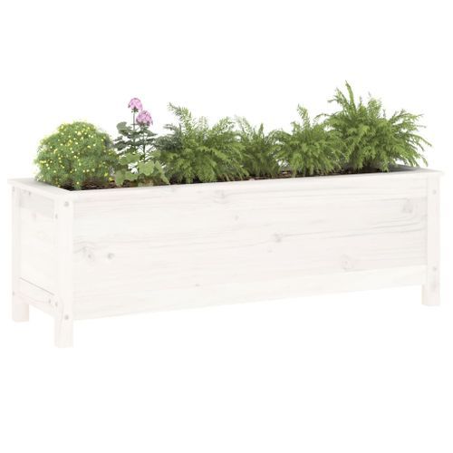 Lit surélevé de jardin blanc 119,5x40x39 cm bois de pin massif - Photo n°3; ?>