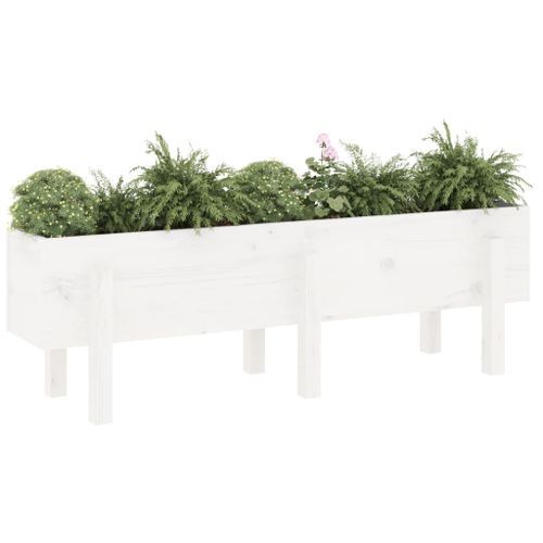 Lit surélevé de jardin blanc 121x30x38 cm bois de pin massif - Photo n°3; ?>