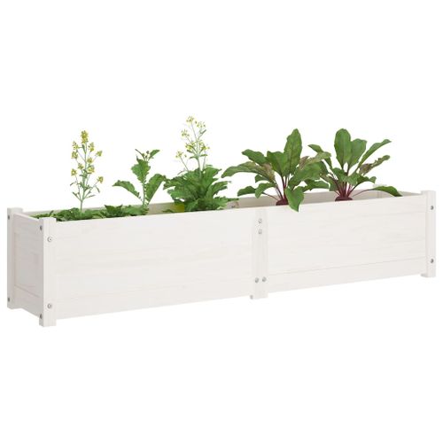 Lit surélevé de jardin Blanc 150x31x31 cm Bois de sapin massif - Photo n°3; ?>