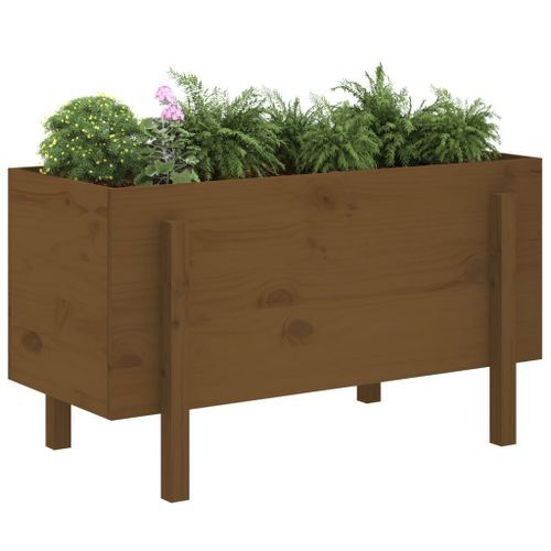 Lit surélevé de jardin brun miel 101x50x57cm bois de pin massif - Photo n°3; ?>