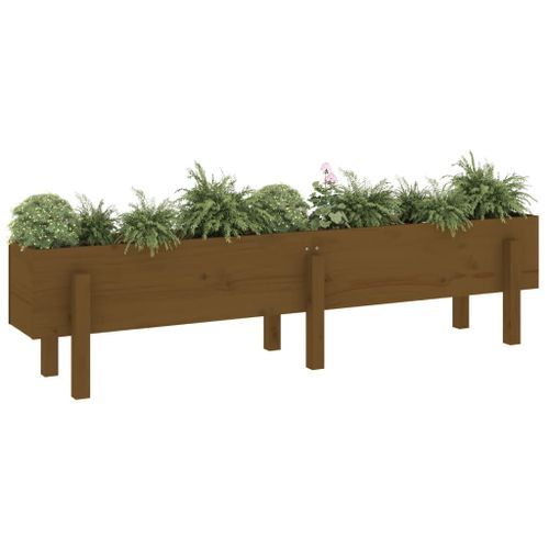 Lit surélevé de jardin marron miel 160x30x38 bois de pin massif - Photo n°3; ?>