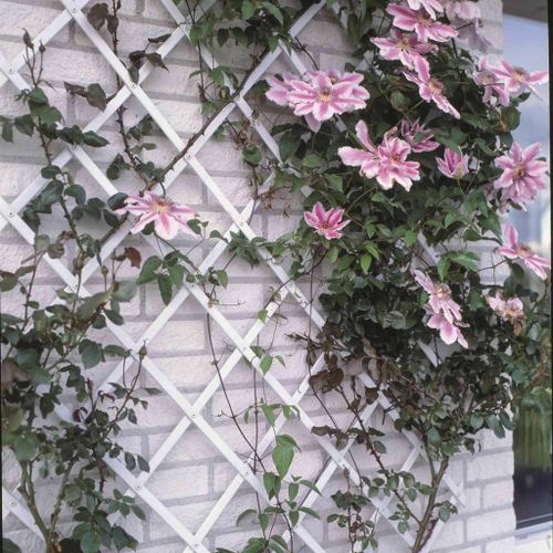 Nature Treillis de jardin 100 x 300 cm PVC Blanc - Photo n°2; ?>
