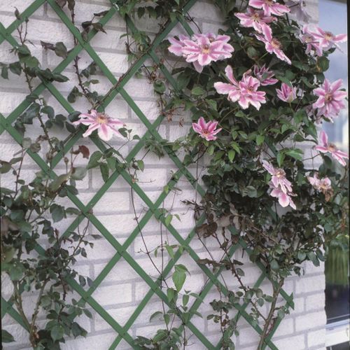 Nature Treillis de jardin 100 x 300 cm PVC Vert - Photo n°2; ?>