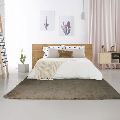 NEO YOGA Tapis de salon ou chambre - Microfibre extra doux - 120x170 cm - Taupe - Photo n°3; ?>
